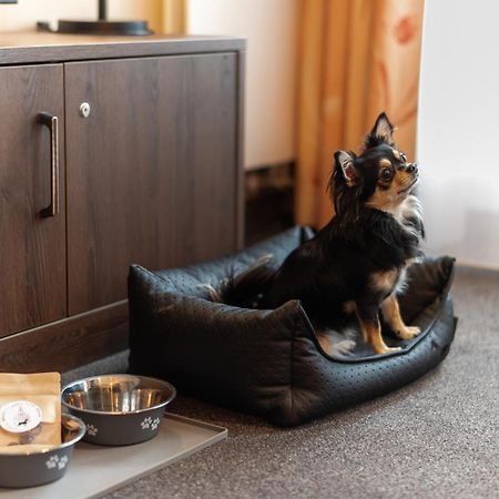 Familienapartment Am Neumarkt Lll Drážďany Exteriér fotografie