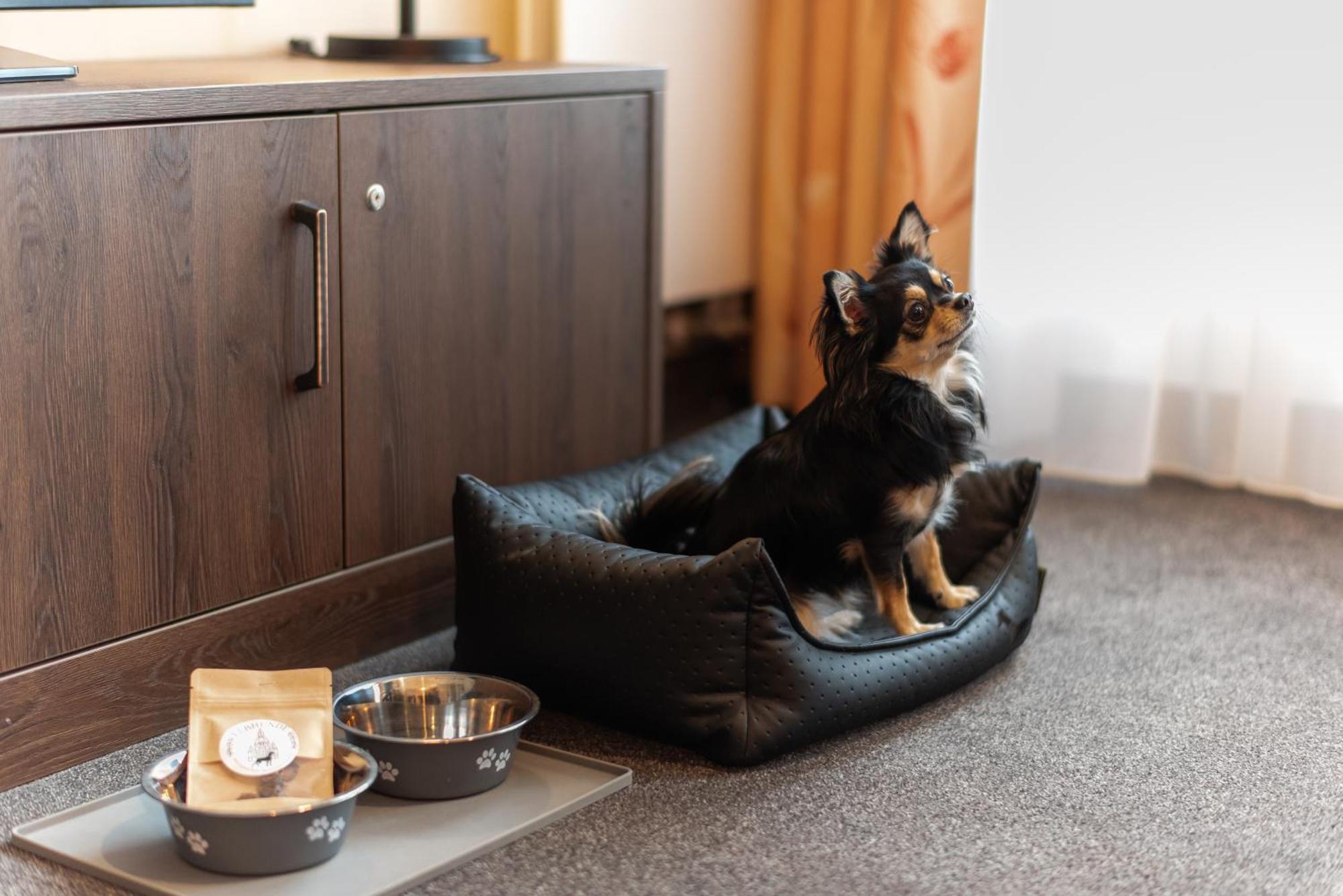 Familienapartment Am Neumarkt Lll Drážďany Exteriér fotografie